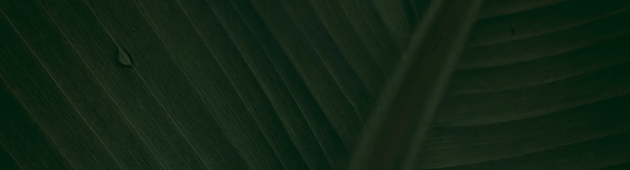 Aegle Marmelos Powder | Bealpan